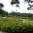 엘도라도 이미지