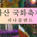 국화애견하우스 이미지