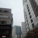 하나로 화원 | [을지로] 무화의 화원 스튜디오 증명사진_내돈내산 후기(무화의 온실)