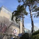 왁싱샵 뽀야 | | 해운대왁싱 | 왁싱부터 수강까지 가능한 부산왁싱전문샵 '뽀야' 브라질리언 후기