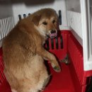 용설호수길 이미지