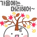 수진헤어샵 이미지