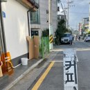 옐로우캑터스yellowcactus