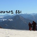 우리 Daum카페