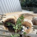 진짜전라도횟집 | 2일 여행 코스 (유명해물나라·청산수목원·진짜전라도횟집·만리포해수욕장 · 파도리해식동굴...