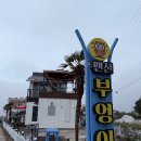 부엉이펜션 - 포천시 윗갈기길 23-12 | 남해 부엉이펜션 3호 후기, 화려하지 않아도 더 오래 기억에 남았던 남해 숙소