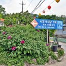 서계마을 네이버블로그