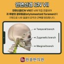 원광동의보감한의원 이미지