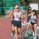 아르피아 이미지