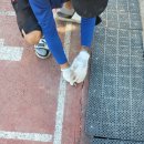 천현초등학교 이미지