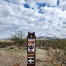 국유림 | 미국 애리조나 피닉스 톤토국유림(Tonto National Forest)에서 하이킹하기! - 사구아로 트레일 (Saguaro...