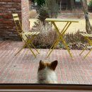 작은마을, 작은숲 | 담양여행_담양숙소추천, 작은마을작은숲 후기