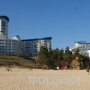 나만의풍경 캠핑&펜션 이미지