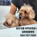 표선동물병원 이미지