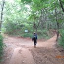 고은초등학교 이미지