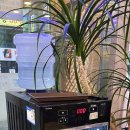 올리브영 울산호계점 이미지