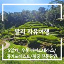 발리 자유여행 5일차_ 우붓 라이스테라스/몽키포레스트/왕궁 전통공연