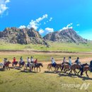 나홀로 진짜 여행 이미지