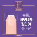 강릉대박텔레콤 네이버블로그