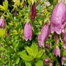 양지로8C 이미지