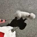 [☝🏻✊🏻]October dump