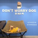 돈워리독 이미지