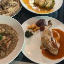 고려애견 | 서울 분위기 좋은 레스토랑 양식집 애견동반 &lt;NDM 엔디앰&gt; 내돈내산 솔직후기