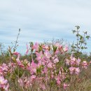 종화목장 이미지