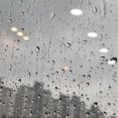 가위와 빗소리