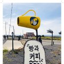 제주에 오길 잘했다 이미지