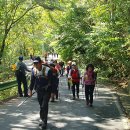 삼천포 산들산악회 100대 명산 오서산을 걸었습니다 이미지