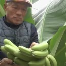 정애농장 이미지