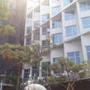아일리아 Daum카페