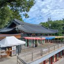 2025년 6월 5일(목) 제 553차 포항 운제산(482m) 산행 - BAC 명산100+ 이미지