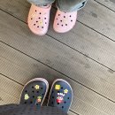 (주)러브토키닷컴 | 강원도 양양펜션 감성숙소 독채 풀빌라 펜션 풀라운지펜션&amp;글램핑