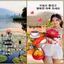 24)05. 莊子장자 外篇외편 第24篇 徐无鬼서무귀(第05章)/선거제도 변경,야만의 시대,끔찍한 범죄자들,기적의 생존,나홀로집에2,고래 이미지