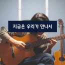 망고나무