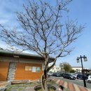 영랑생가안내소 이미지