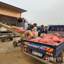 대정농업협동조합 농산물산지유통센터 이미지