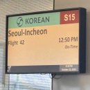 시애틀 | 대한항공 KE042 시애틀-인천 탑승 후기 ✈️ 기내식 종류 후기
