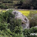 서간사(西磵祠) 뉴스1