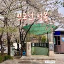 허밍웨이길 | 반포 벚꽃은 반포천 허밍웨이길에서