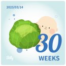 영심이닭갈비 이미지