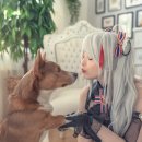 멍이냥이 이미지