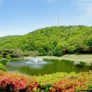 클라우드 골프클럽 이미지