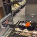 오케이빨래방 | LA, 라스베가스 신혼여행 D-2, D-1 선글라스 고르기, 인천공항 베스트웨스턴 호텔로 이동