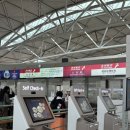 디디산업 | 중국 심천, 선전, SHENZHEN으로 떠나보자 #1(선전항공/바오안 공항/디디택시/허마션솅 마트)