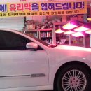 프로덴트 - 서구 봉수대로 1601 | 프로덴트