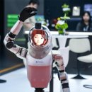 투영 이미지