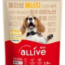 올리브에너지